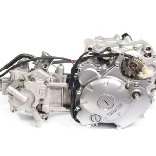 Engine Model 55D For Yamaha LC135